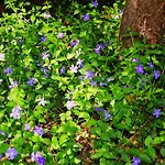 Mitten Im Seenland Und Spreewaldnah, Schoener Garten Holiday home *