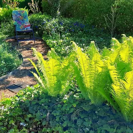 Mitten Im Seenland Und Spreewaldnah, Schoener Garten 施托尔科