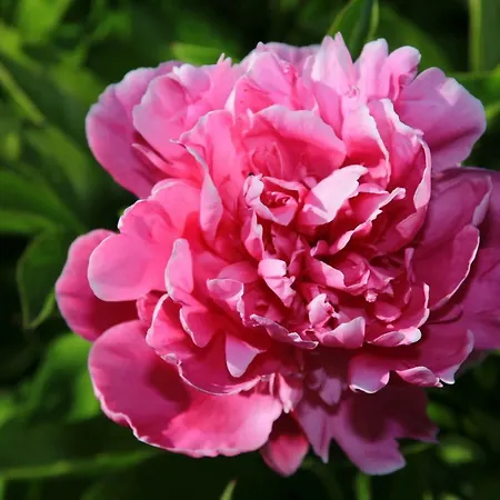 Mitten Im Seenland Und Spreewaldnah, Schoener Garten