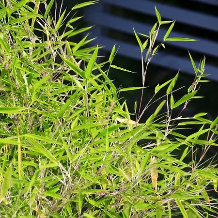 Mitten Im Seenland Und Spreewaldnah, Schoener Garten Dom wakacyjny Storkow (Mark)