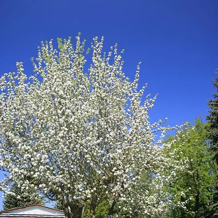 Mitten Im Seenland Und Spreewaldnah, Schoener Garten * Storkow (Mark)