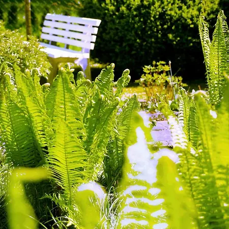 Mitten Im Seenland Und Spreewaldnah, Schoener Garten *