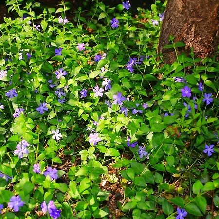 Mitten Im Seenland Und Spreewaldnah, Schoener Garten Dom wakacyjny *