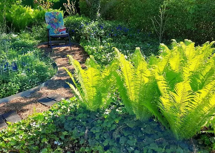Mitten Im Seenland Und Spreewaldnah, Schoener Garten شتوركو
