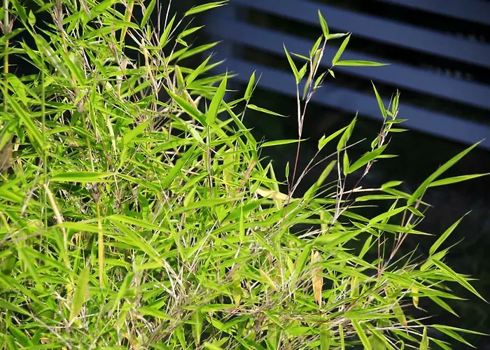 Mitten Im Seenland Und Spreewaldnah, Schoener Garten Feriehus Storkow (Mark)