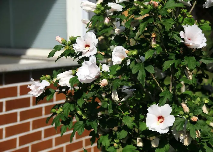 Mitten Im Seenland Und Spreewaldnah, Schoener Garten شتوركو