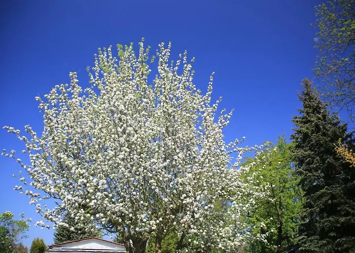 Mitten Im Seenland Und Spreewaldnah, Schoener Garten * شتوركو