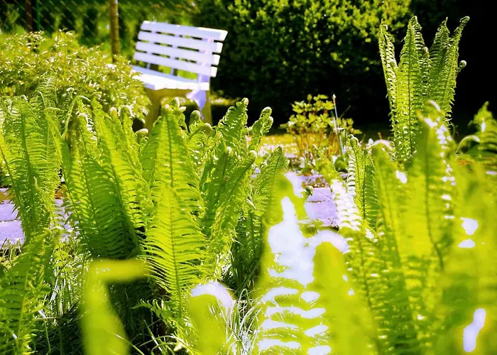 Mitten Im Seenland Und Spreewaldnah, Schoener Garten *