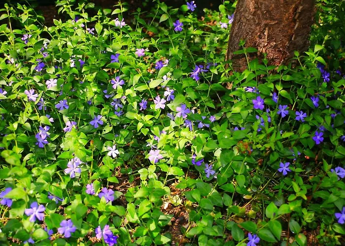 Mitten Im Seenland Und Spreewaldnah, Schoener Garten Feriehus *